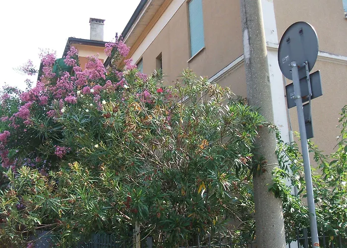Accorsi 3* Lippo